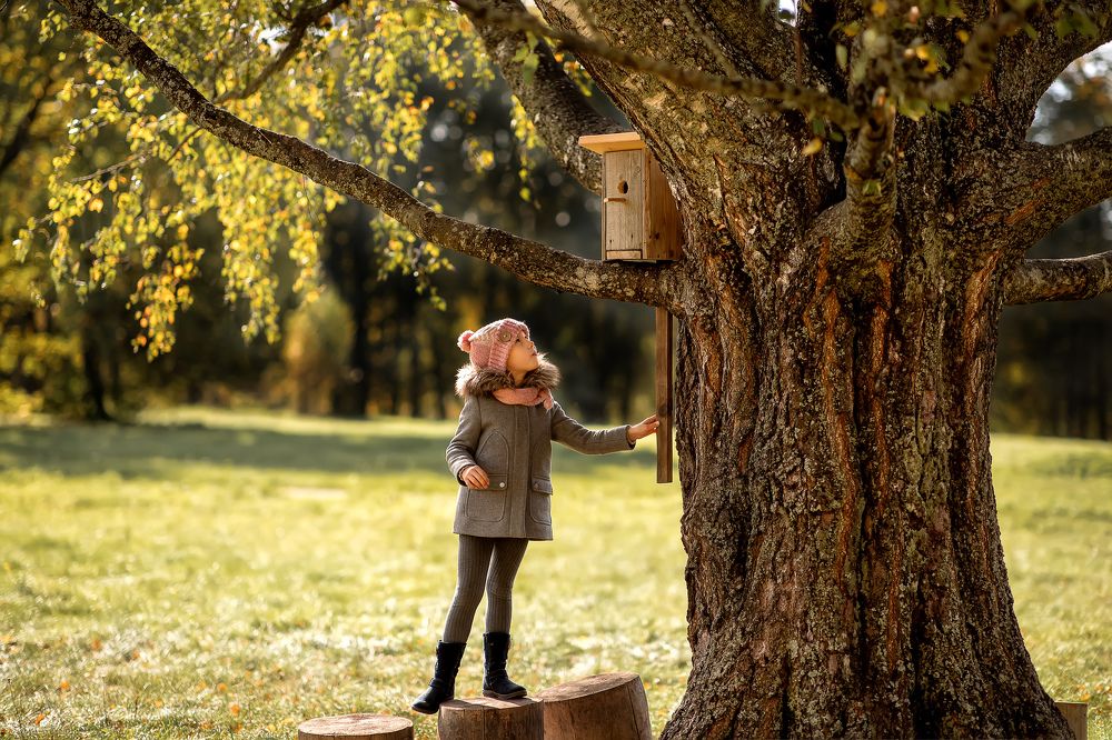 Photograph by Алена Валери