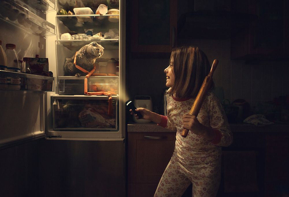 Ночной воришка