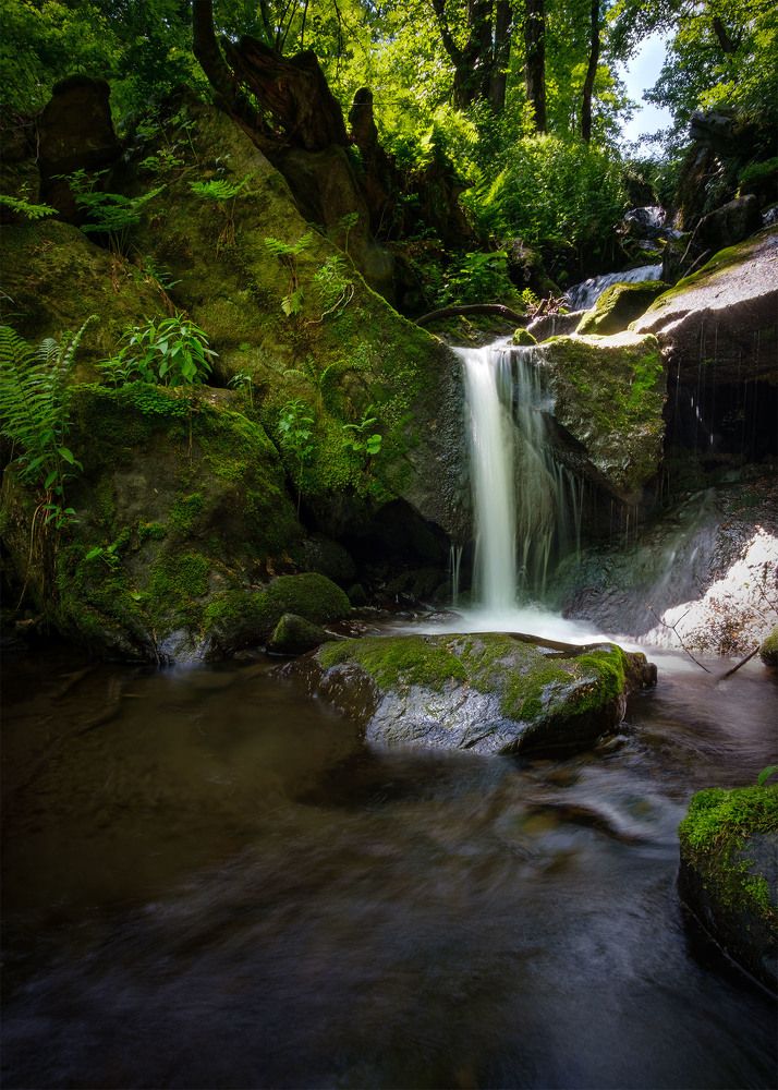Фотография автора Stanislav Yendrek