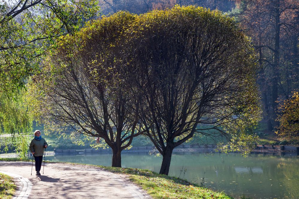 Фотография автора Dmitry Finkel