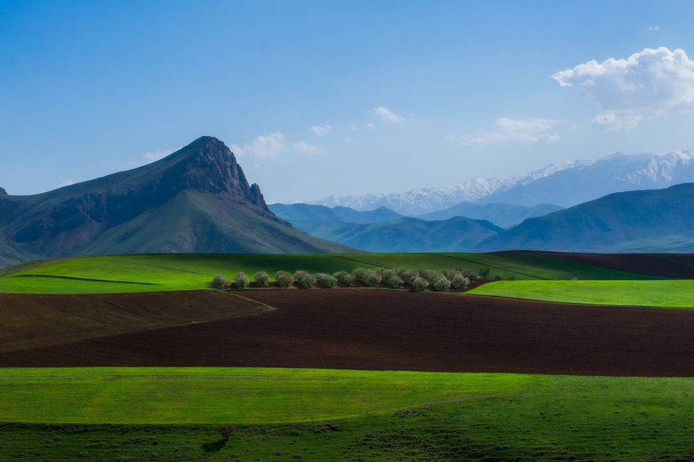 Фотография автора Alipour mohammad