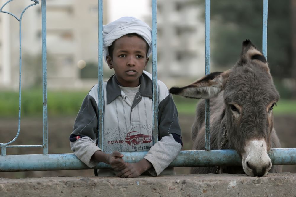 Фотография автора Dmitry Finkel