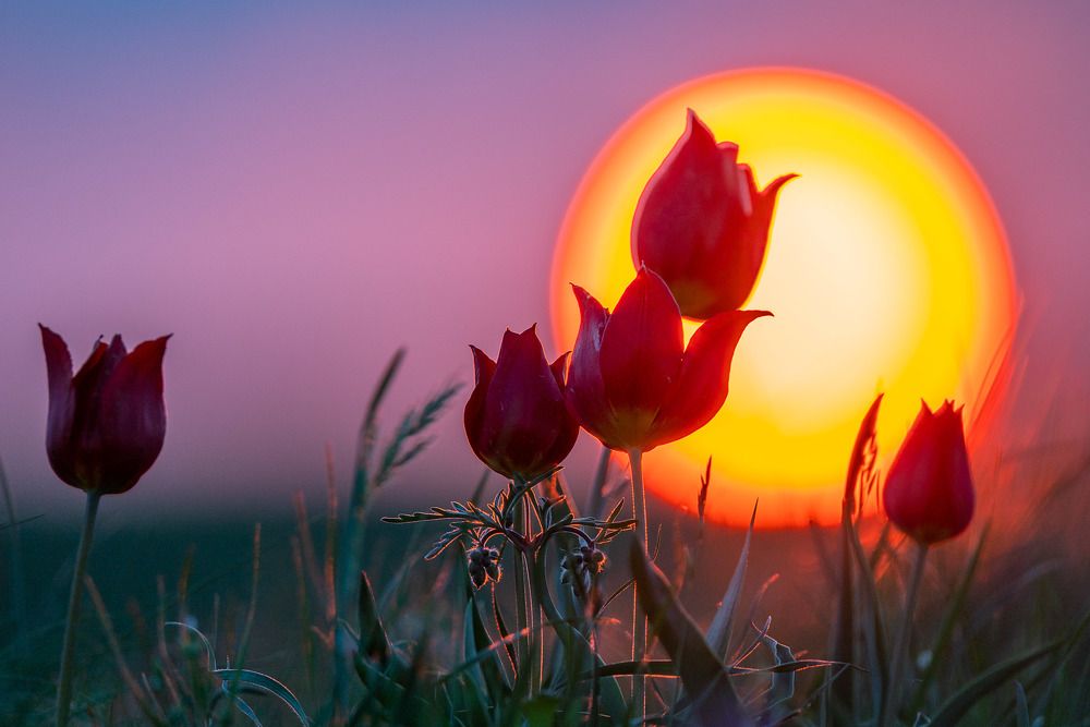 Photograph by Дмитрий Зотов