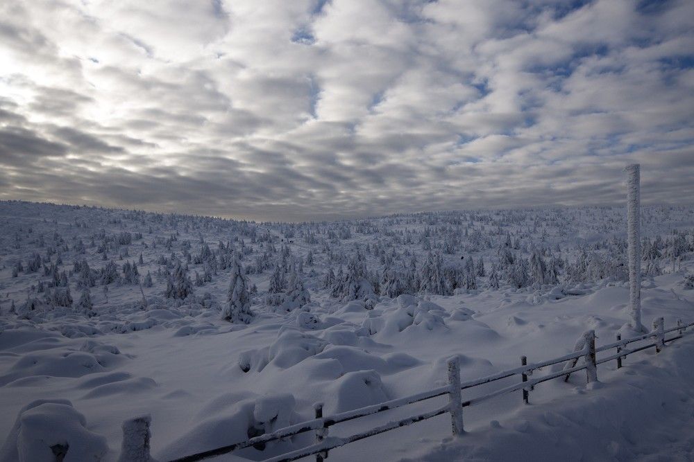 Фотография автора Kamil Knychalski