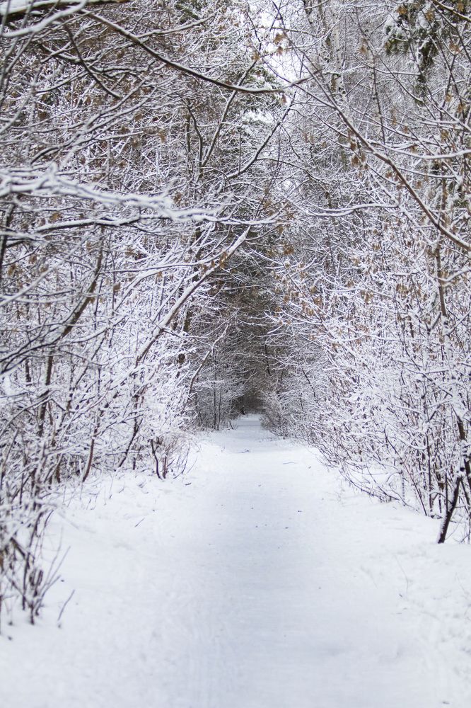 Photograph by Дмитрий Тимин