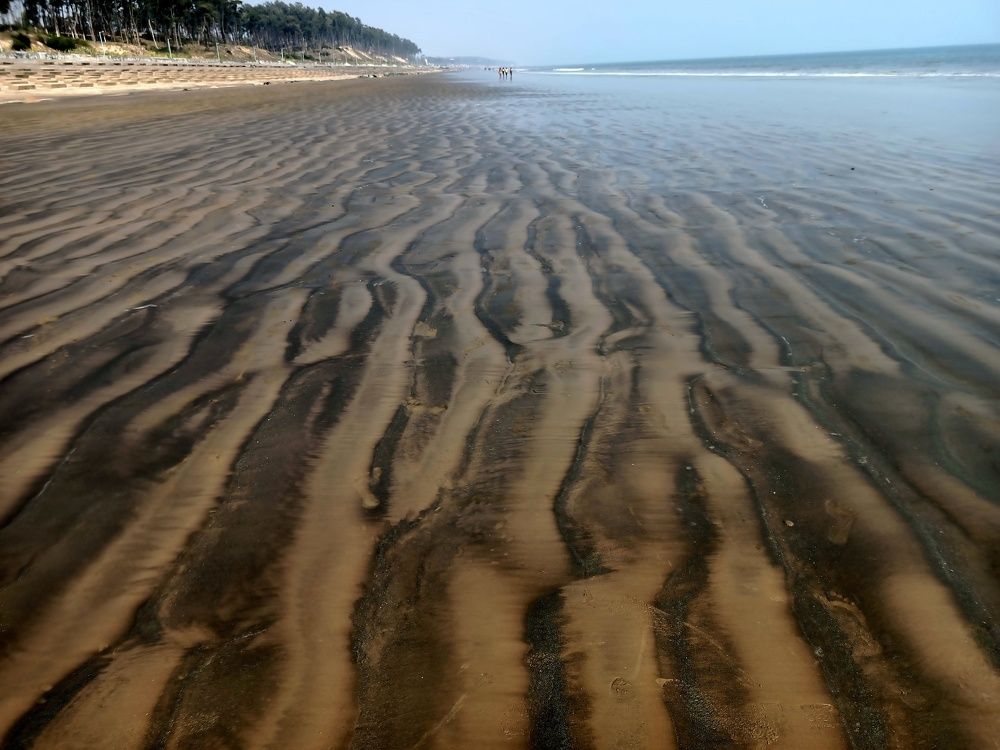 Photo #7309826