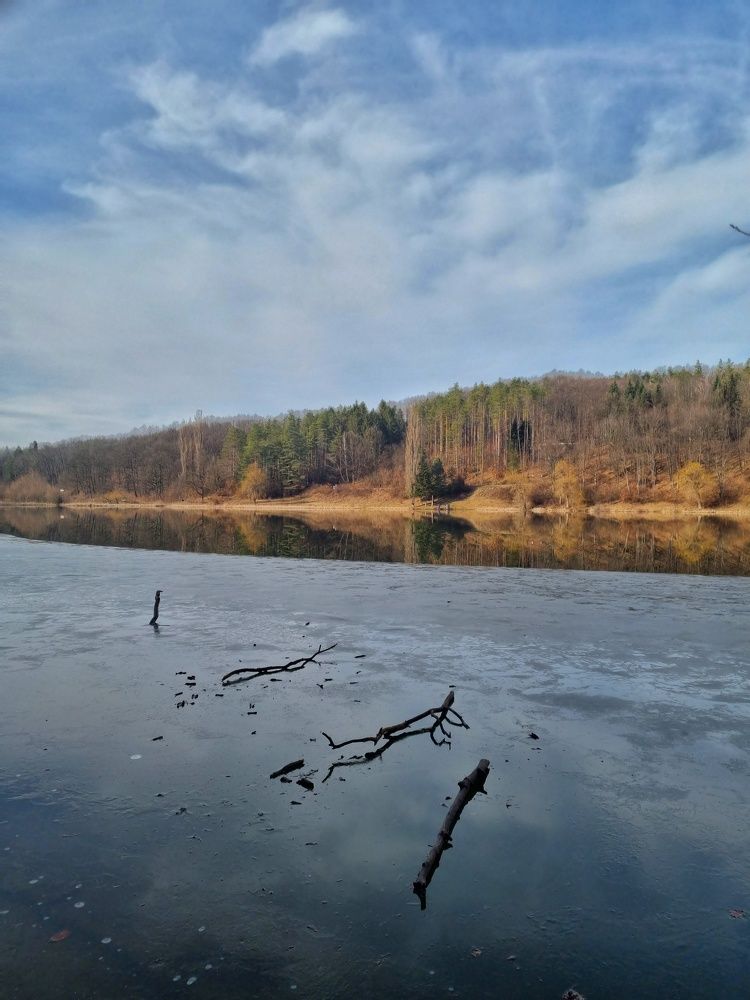 Photograph by Светлана