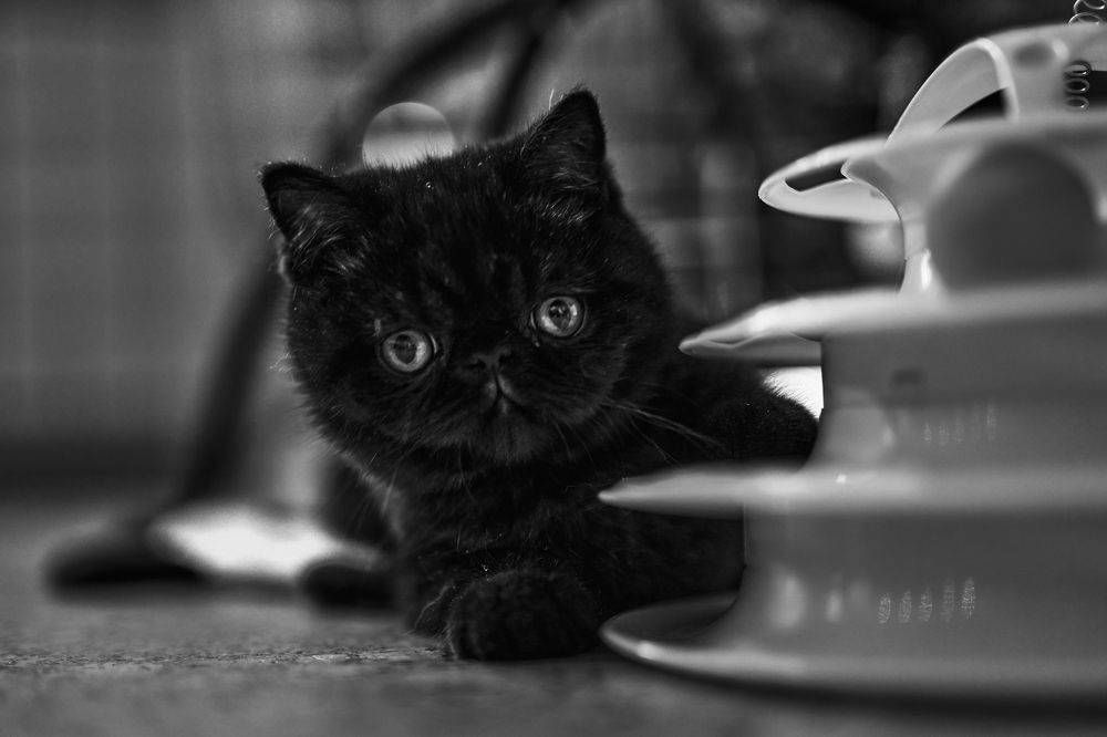 Photograph by Yuliya Khramova