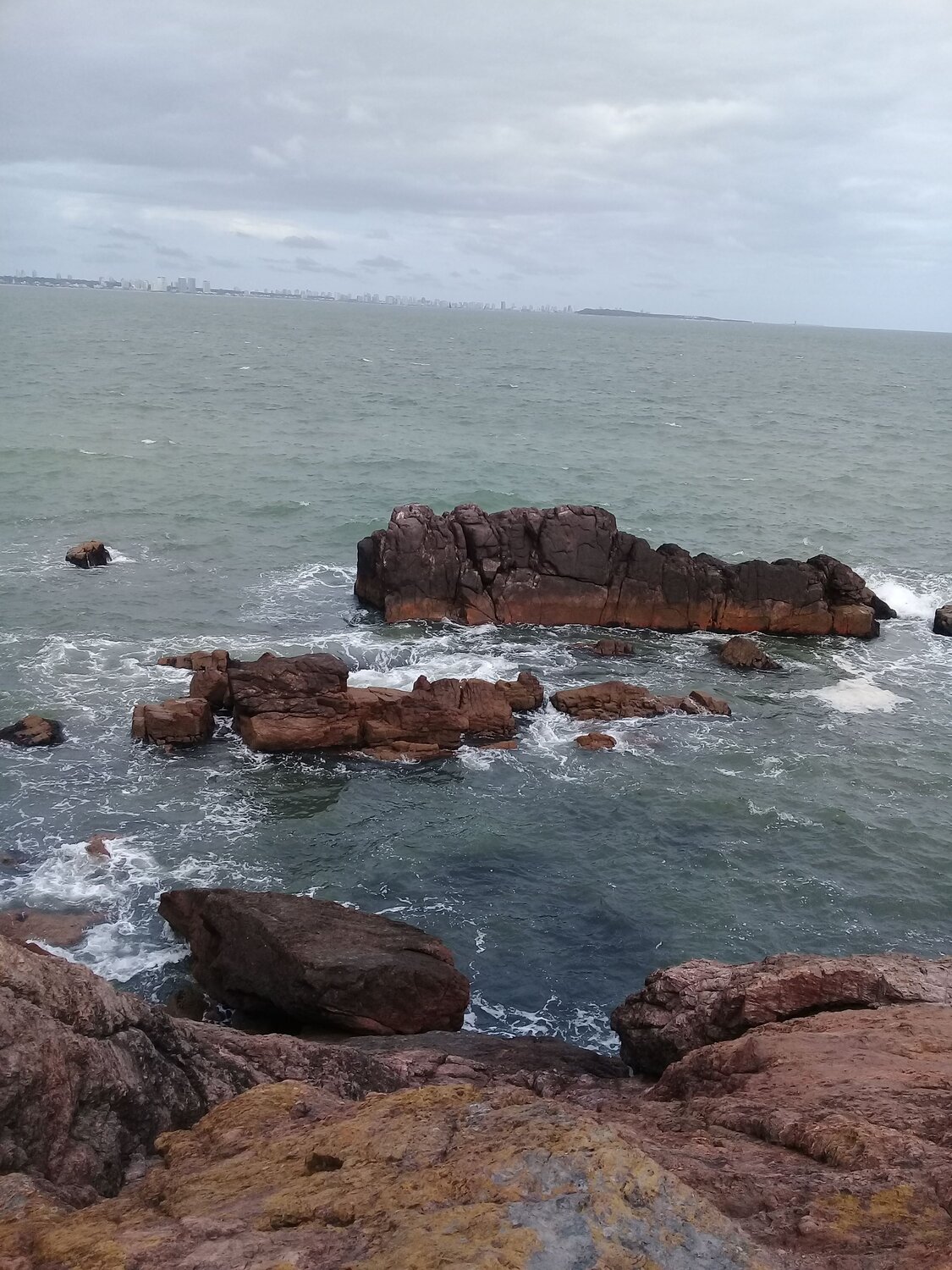 Photo #7309933