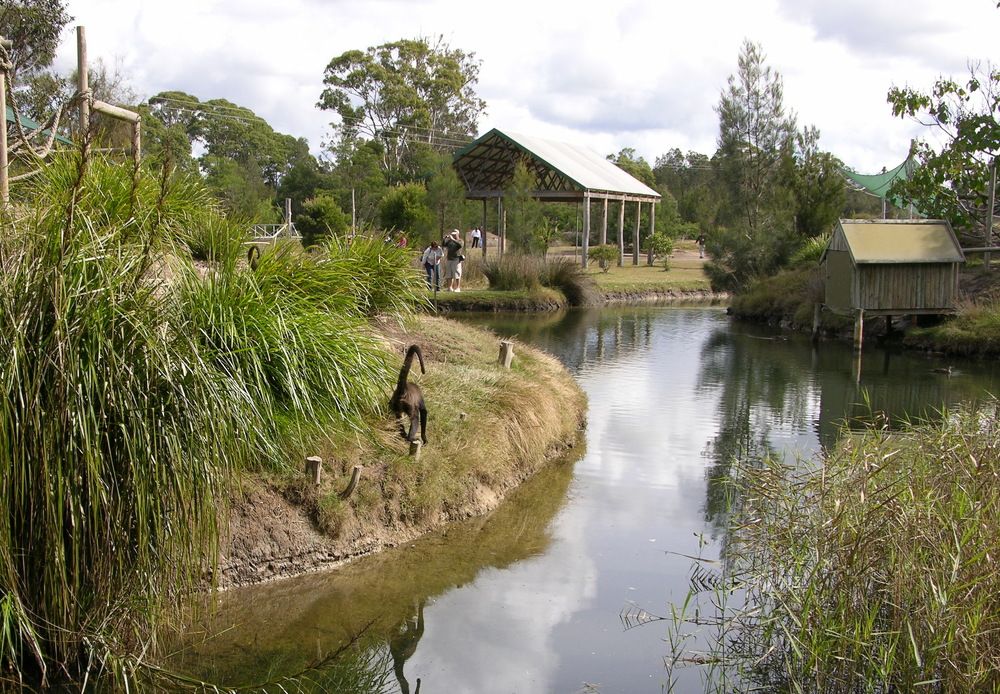 Photograph by Alfred Arnold