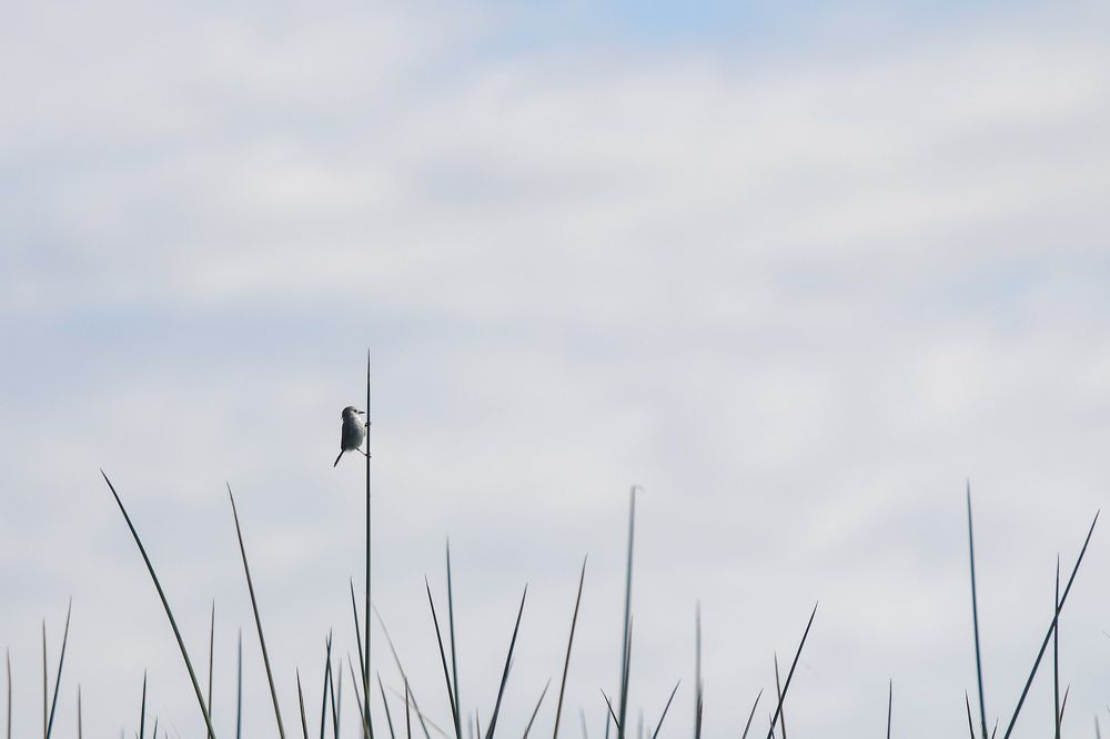 Photograph by Maria Ines Garbarino