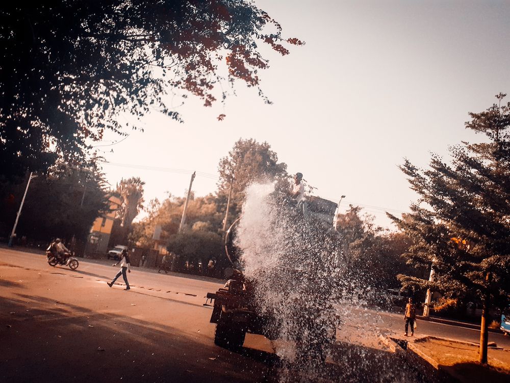Photo #7310029