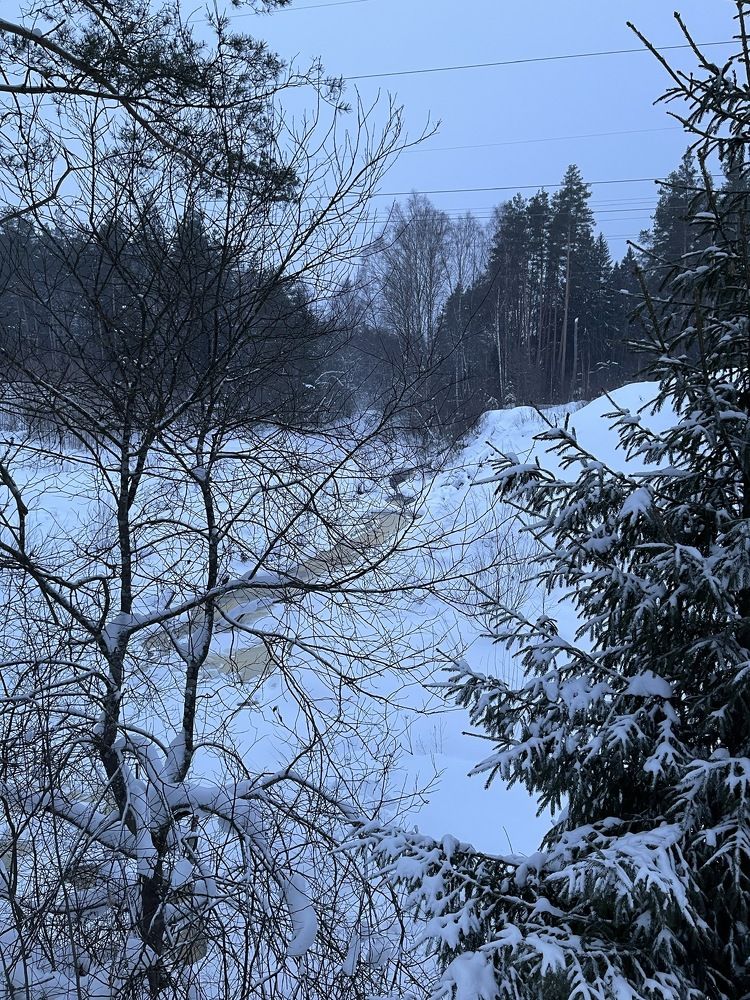 Photograph by Григорий Лыжин