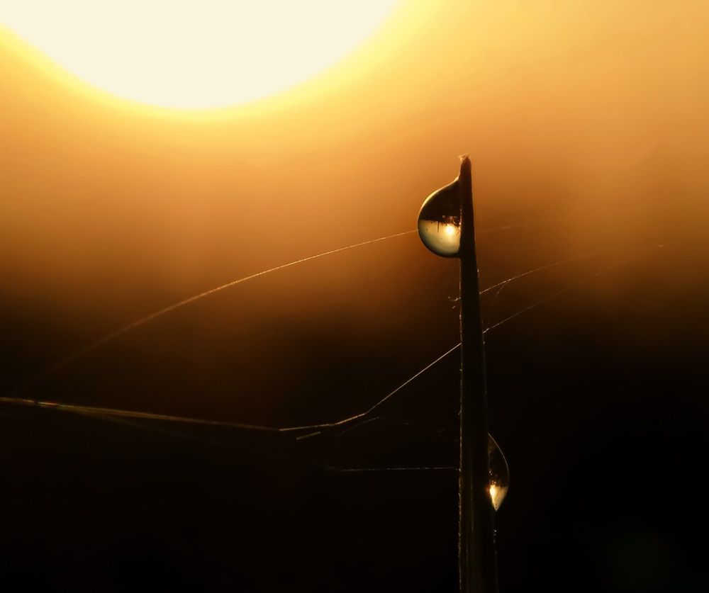 Photograph by Lien Nguyen