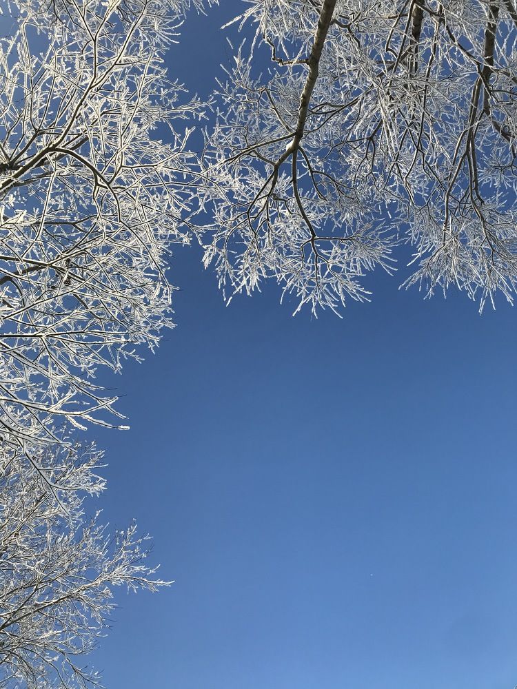 Зимняя эстетика