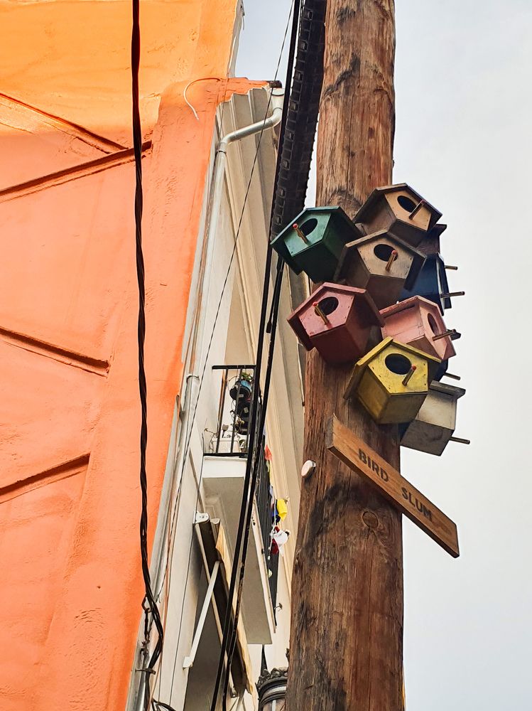 Фотография автора Ольга Катаргина