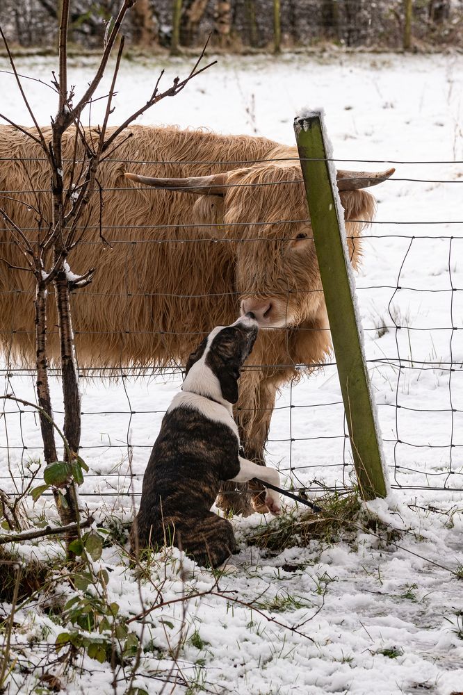 Meeting an old friend