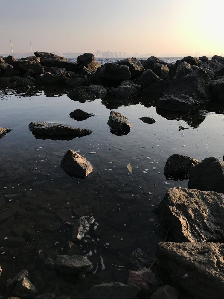 Каменное спокойствие