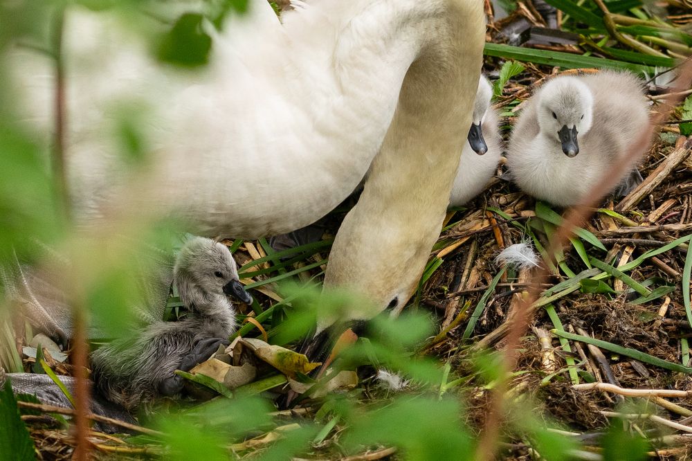 Photograph by Tatiana Kirsanova