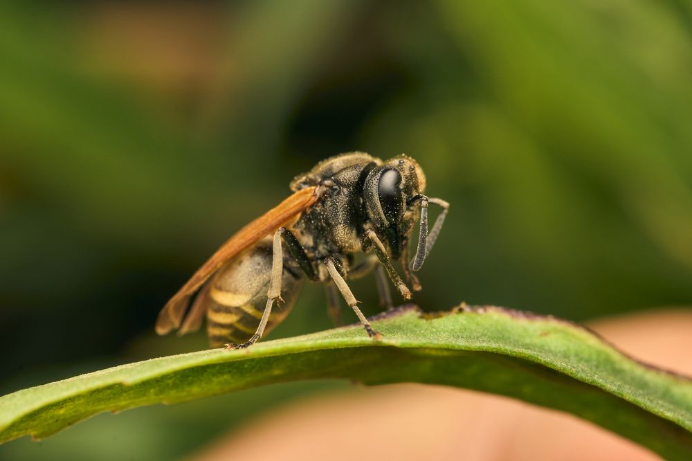 Фотография автора Santiago Diaz Aragon
