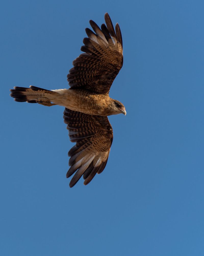 Photograph by Cifuentes Alejandro