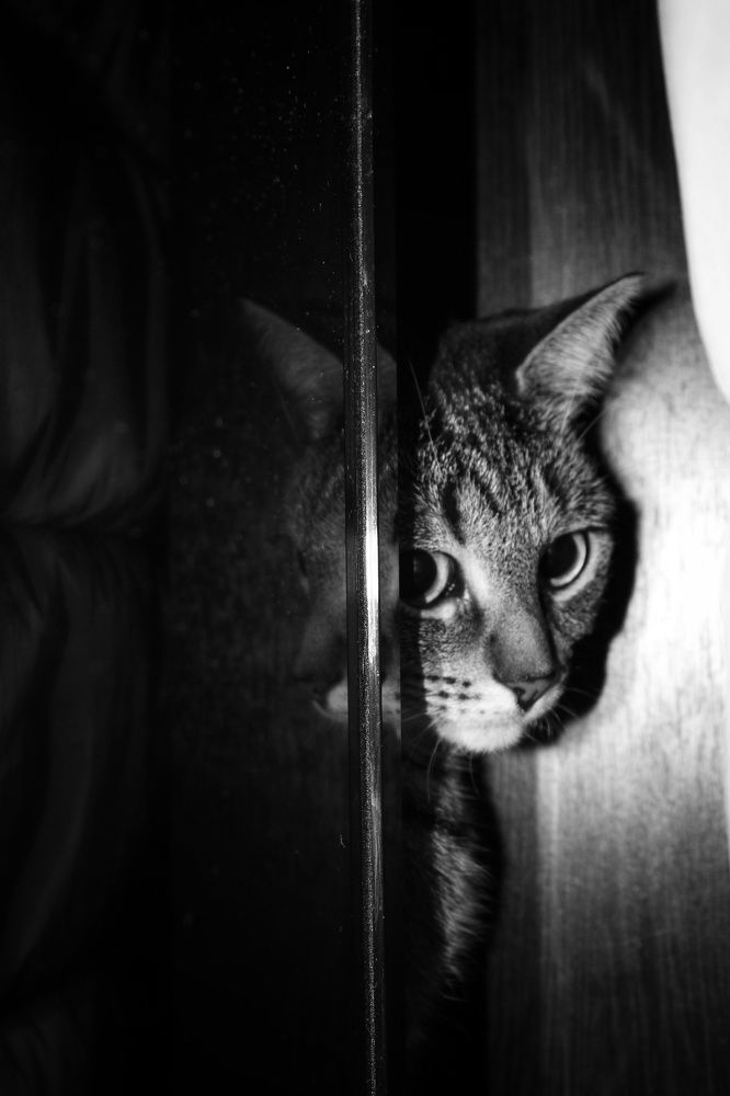 Photograph by Иван Крылов