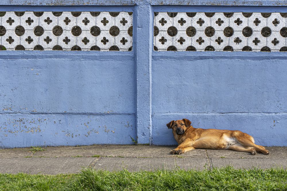 Photograph by David Bueno