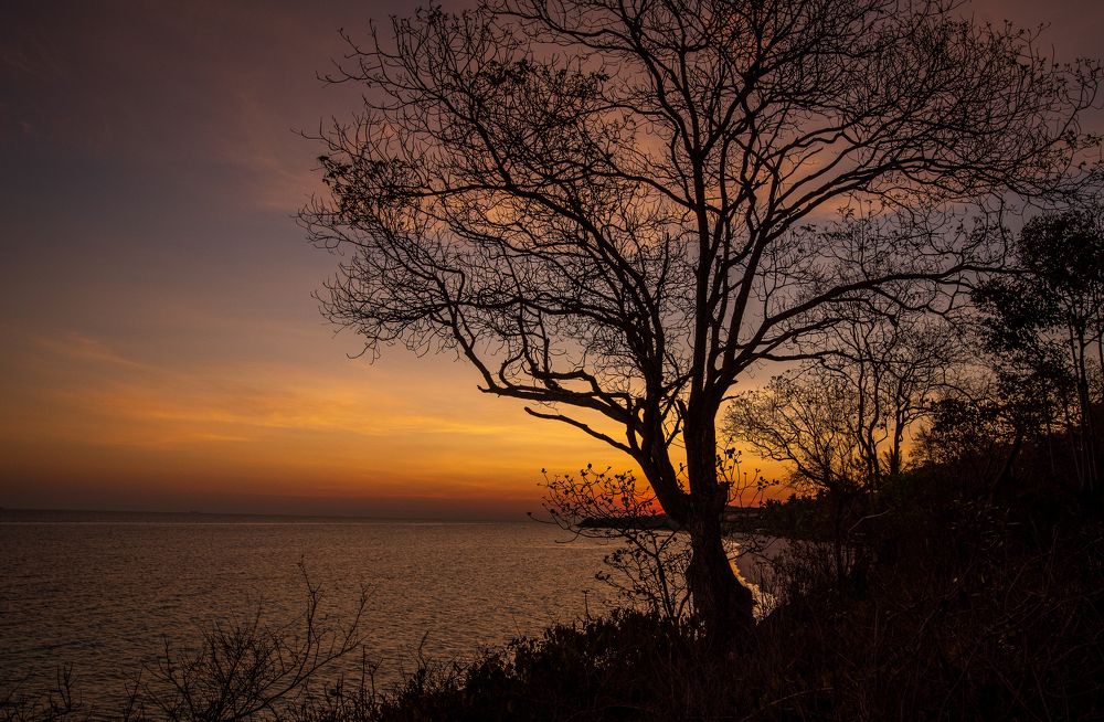 Photograph by HASHIM GOMBRI