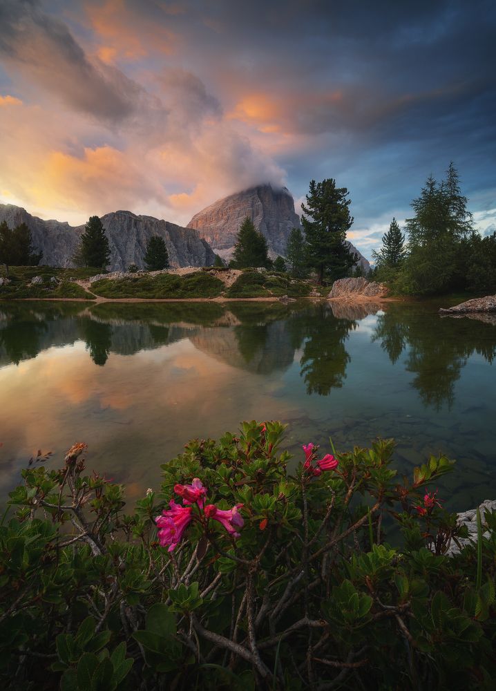 Photograph by David Aguilar