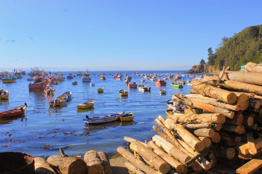 Photograph by Ronald Zambrano