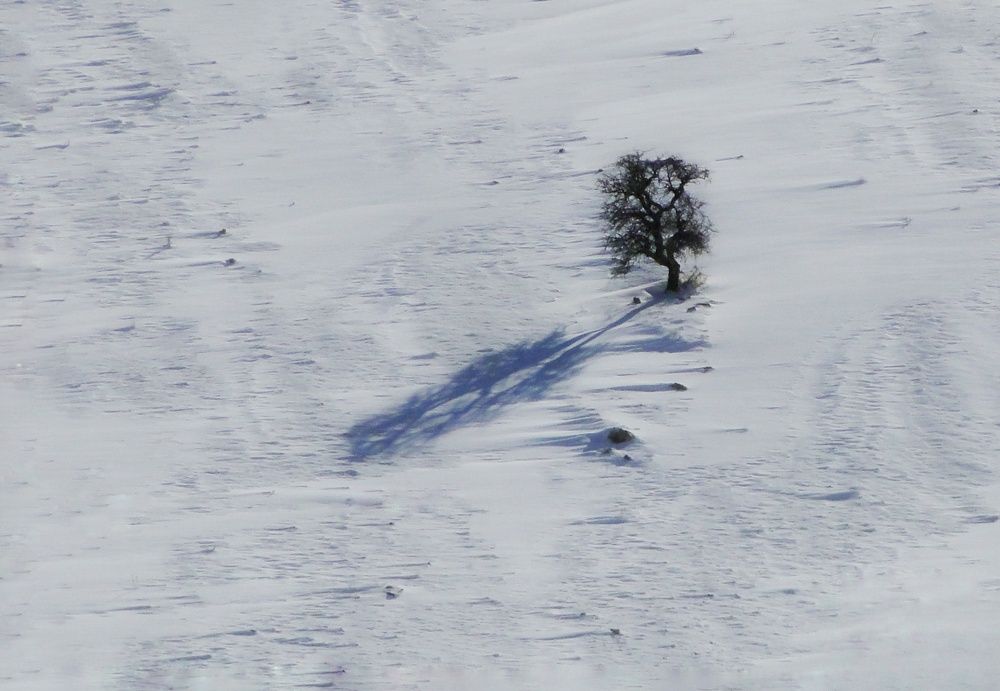 Photograph by Khosro Sayadi