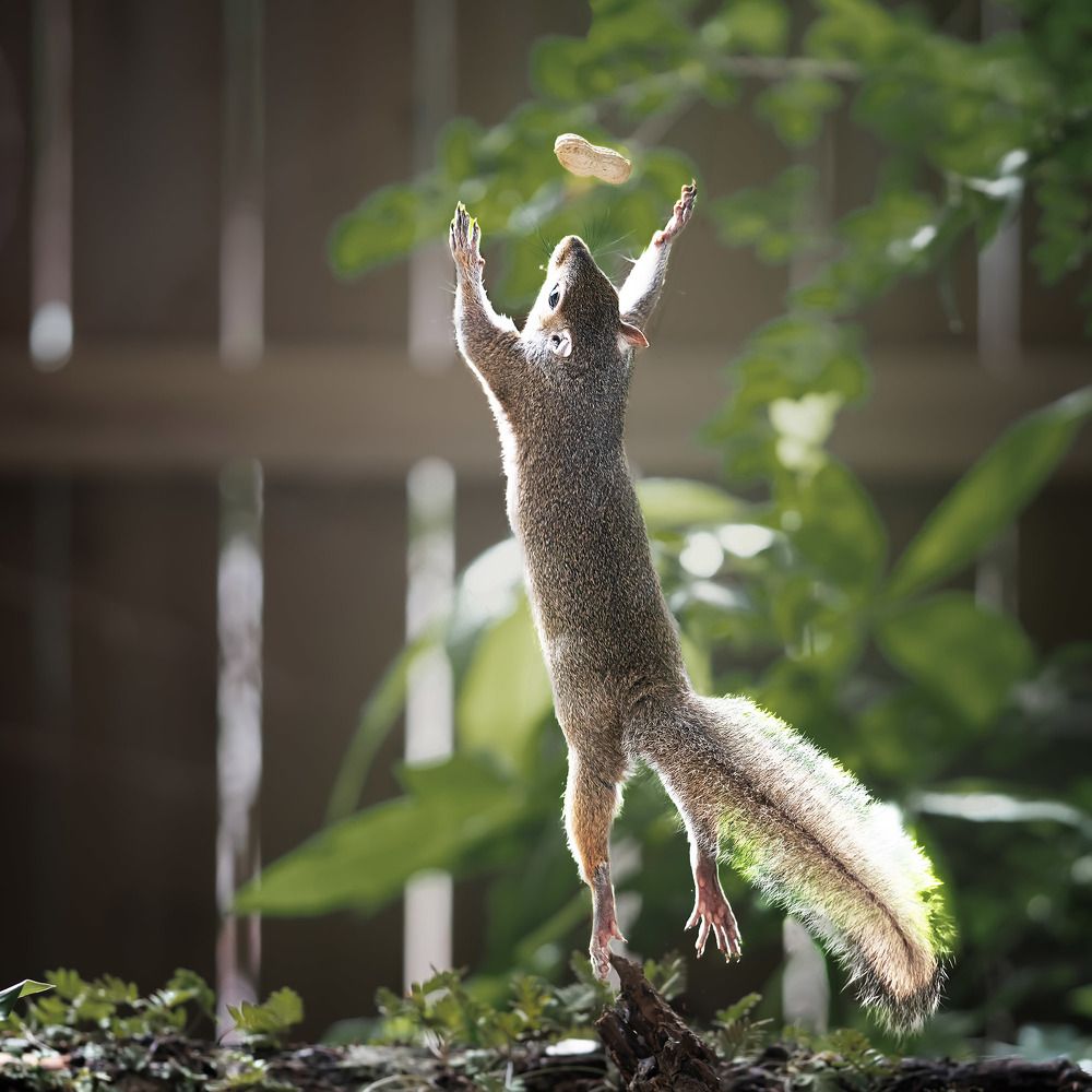 Фотография автора Irina Kozhemyakina