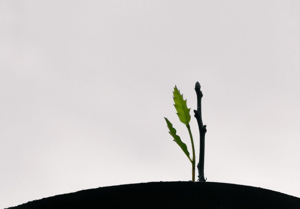 Photograph by Khosro Sayadi