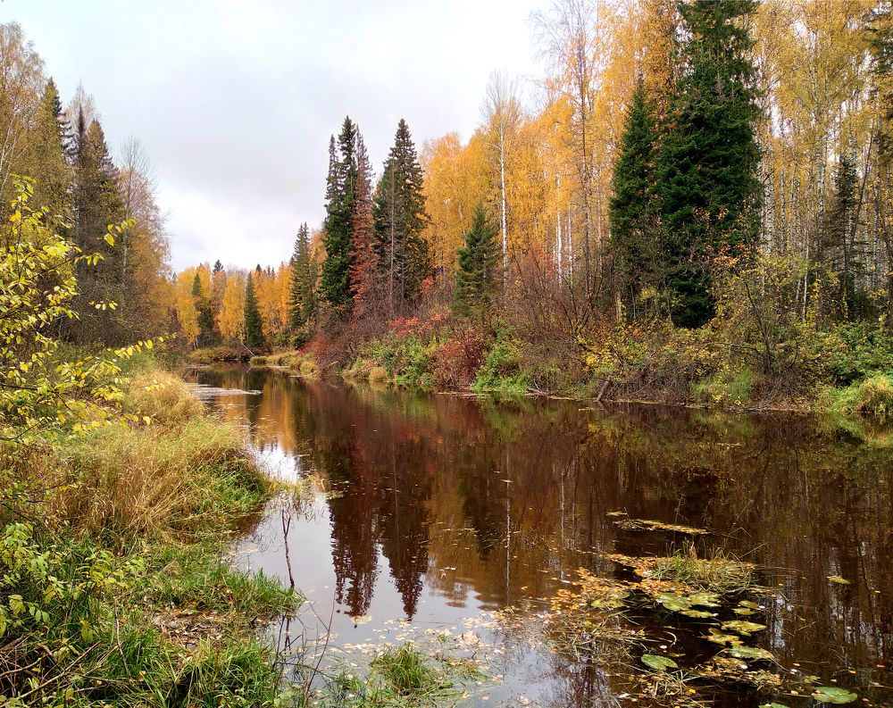 Художница осень.