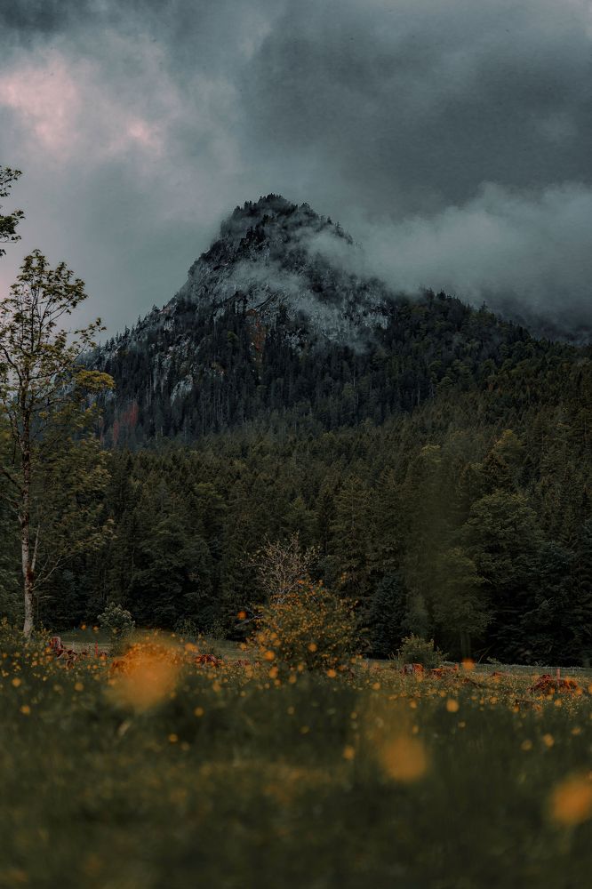 Photograph by Sebastian Bundschuh