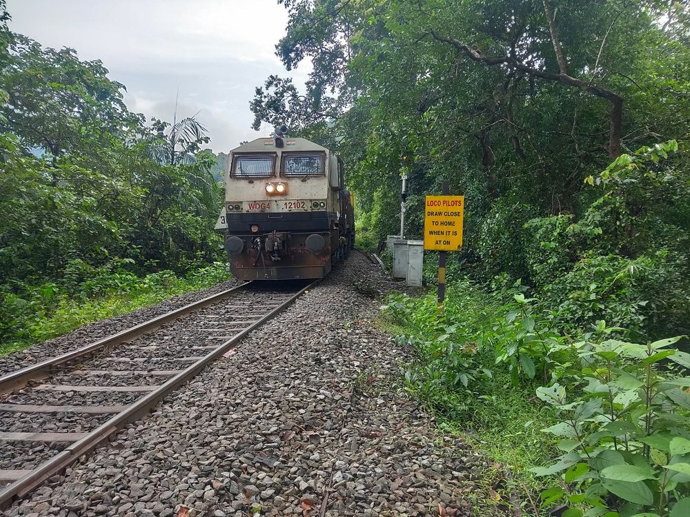 Between Kulem and Dudhsagar Falls (India)