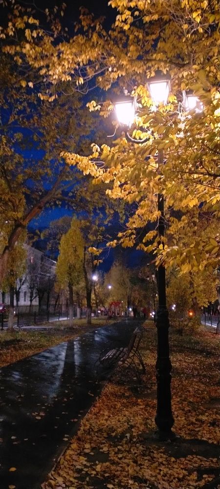 Photograph by Виталий Асташов