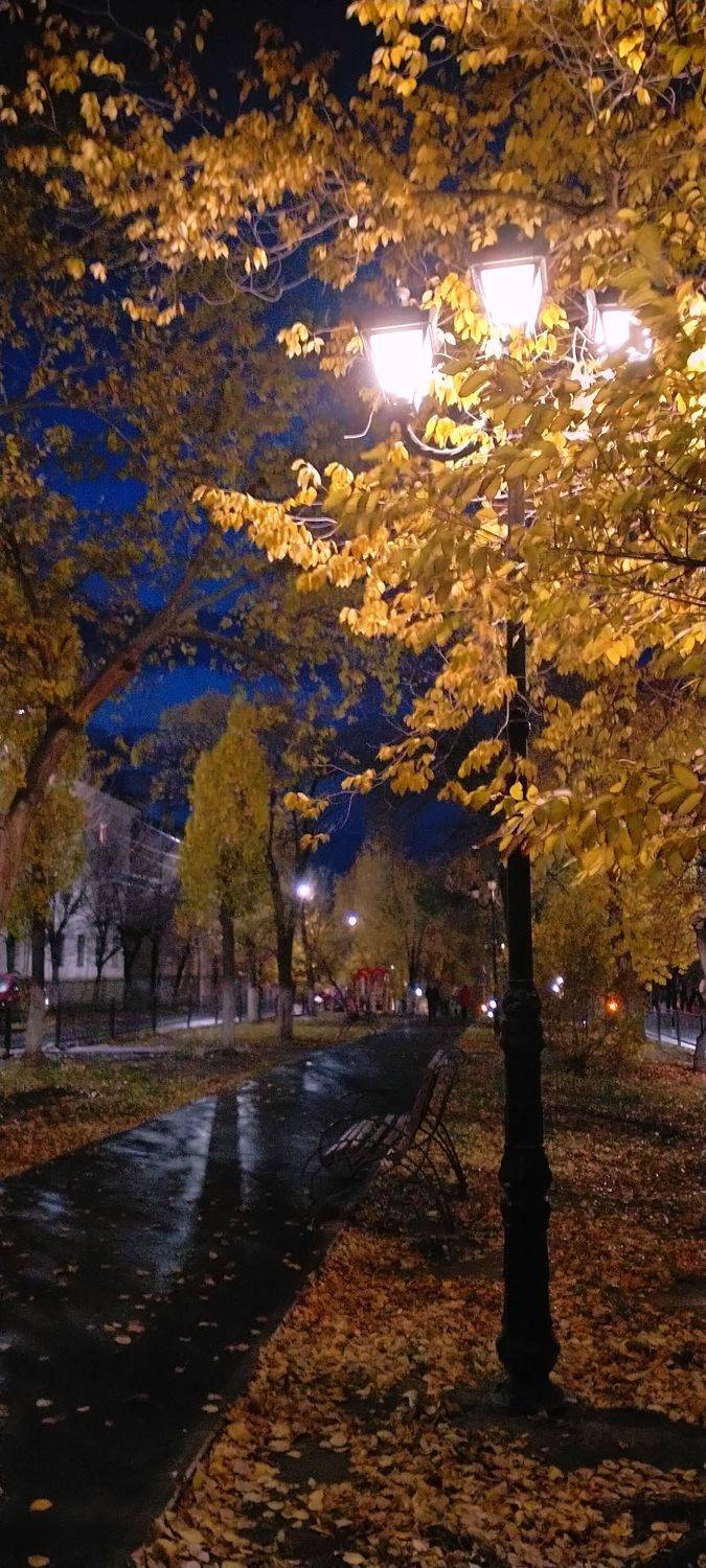 Photo #7310562