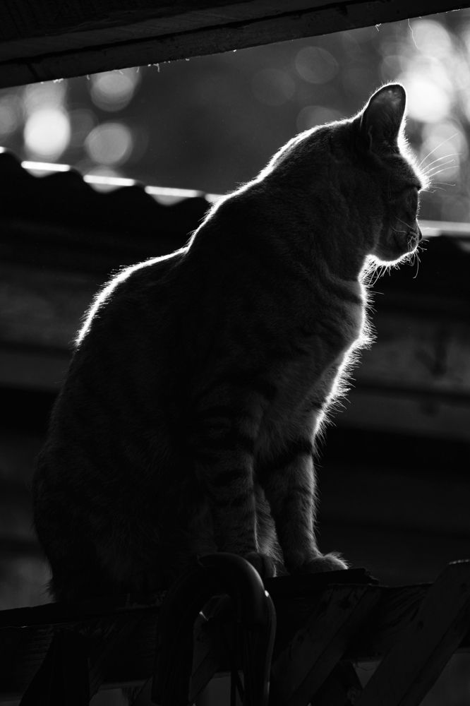 Photograph by David Bueno