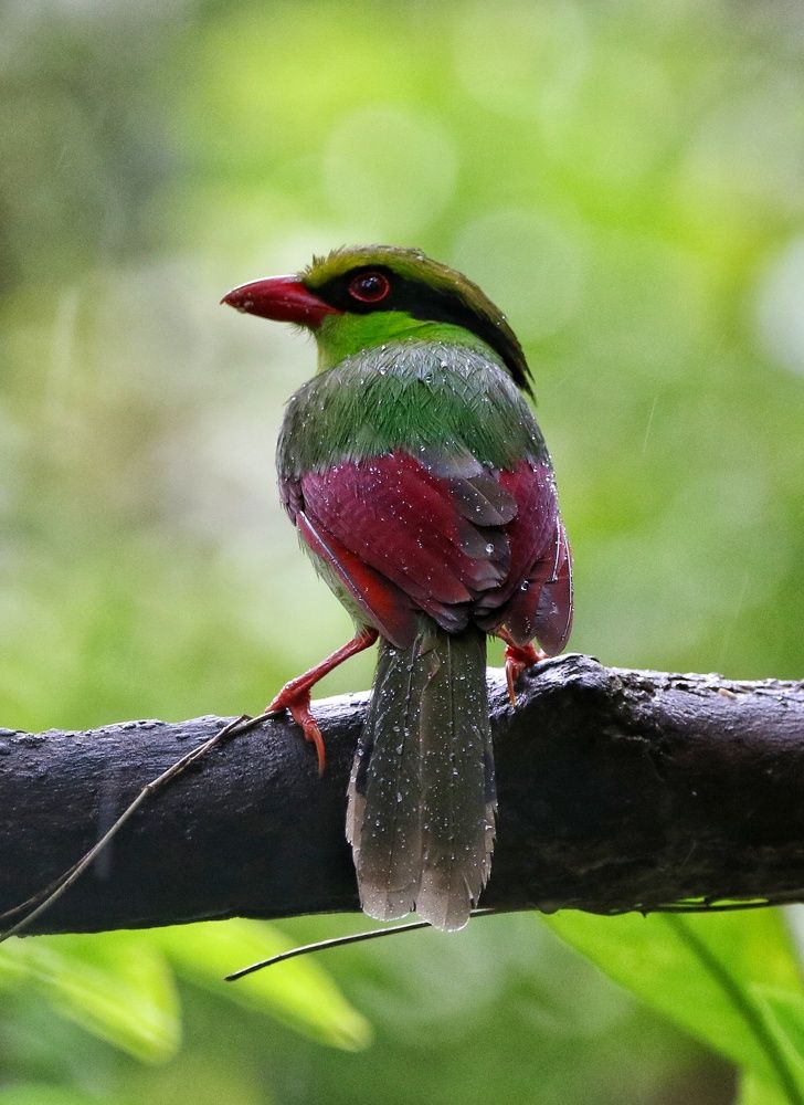 Photograph by Cohen Isaac