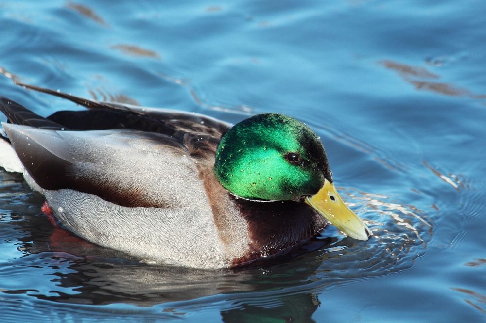 Photograph by Юлия Серазетдинова