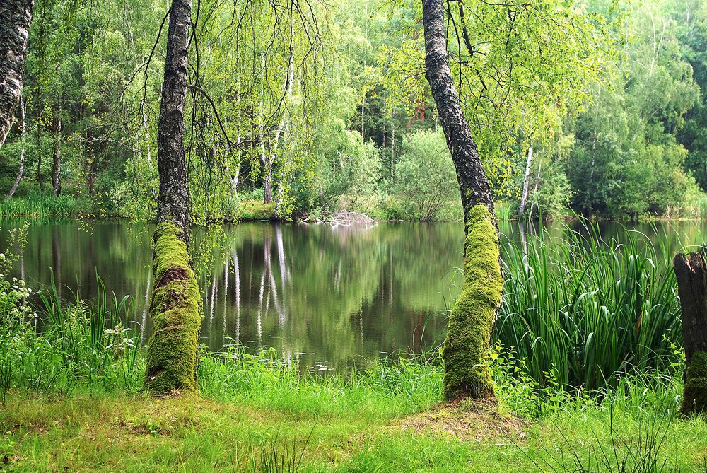 Photograph by Лилия Потравнова