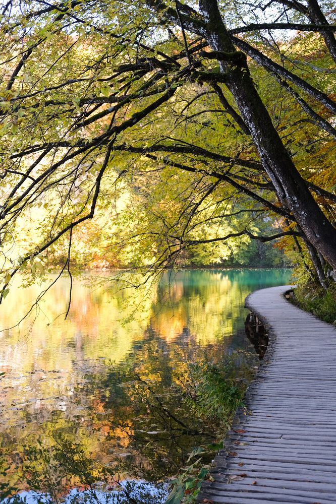 Photograph by Jasminka Đaković