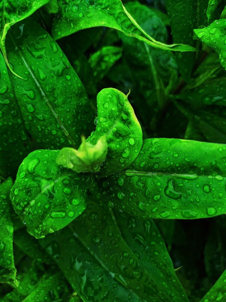 Photograph by Валерія Колосович