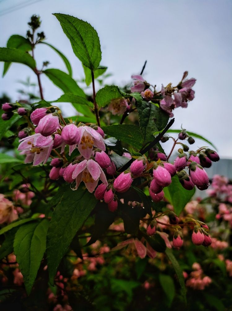 Photograph by Валерія Колосович