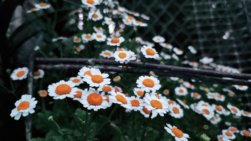 Photograph by Валерія Колосович