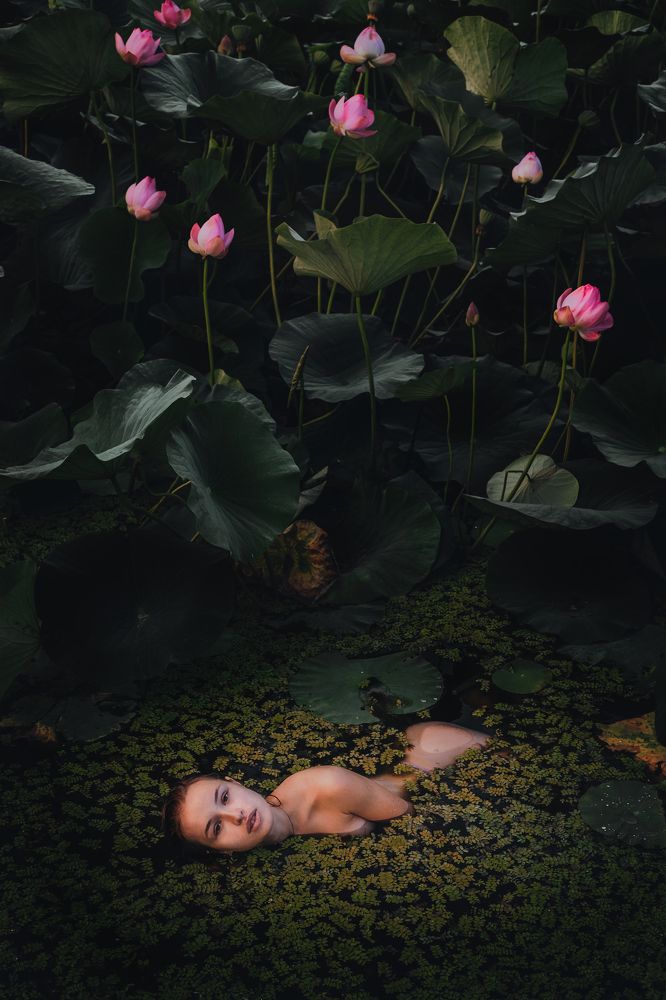 Девушка на озере лотосов