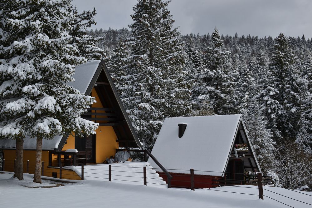 Photograph by Aleksandra Spasojevic