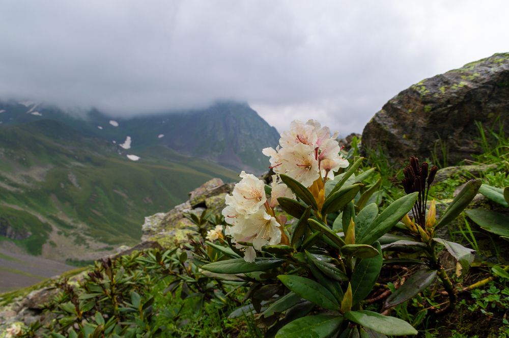 Photograph by Дмитрий Мальцев