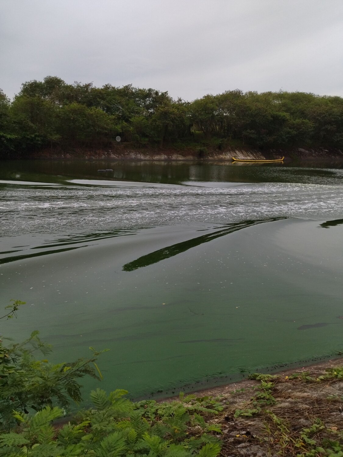 Photo #7310839